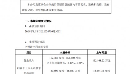 启明星辰公布2024半年业绩，净利润下滑，全年收入目标不变