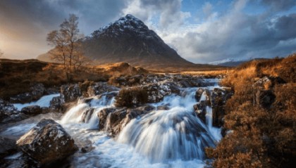 AIMS荣鹰证券：外汇交易平台的技术支持