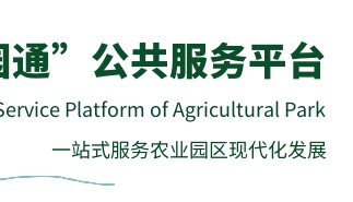 找品种 | 粉果番茄新品种“宝禄富生”