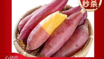 上班摸鱼不如来大象答题丨摸鱼5分钟=瓜分10万积分