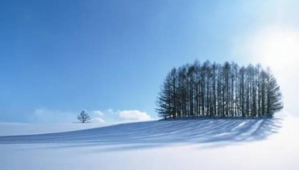 OEXN平台外汇交易安全吗？