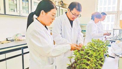 科技赋能甘薯产业点亮新“薯”光