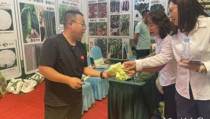 长城观察 | 曲周10亿株“科技苗”15省落地生根