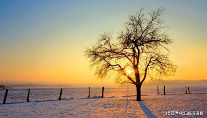 从“道法自然”看外汇市场的确定性交易机会