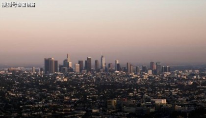 什么是股票期权交易平台？在哪里可以交易股票期权？