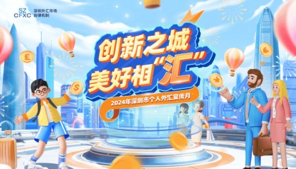 2024年深圳市个人外汇宣传月取得积极成效