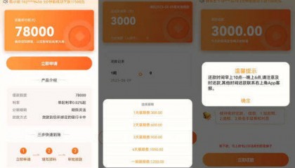 上海警方破获一起通过非法APP实施放贷的非法经营案