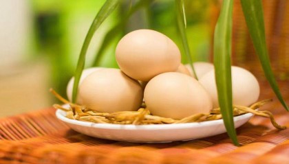 2025.8.14今日鸡蛋价格