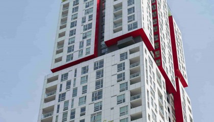 芋头多味烹饪指南及营养成分揭秘