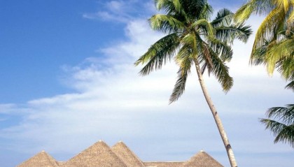 NCE外汇：全球外汇交易平台的优选方案