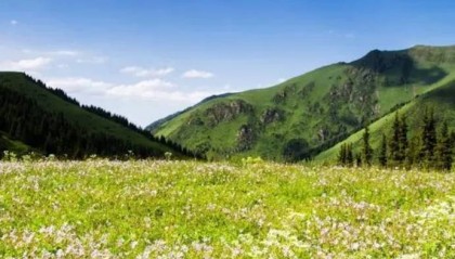 NCE外汇：石油数据强劲需求却低迷