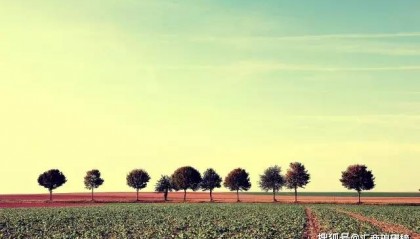 （原创）外汇交易两年，首要是处理好做外汇交易的盈利预期问题