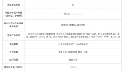 非法买卖外汇，个人收千万级罚单