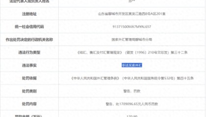 因非法买卖外汇，瀚洋重工机械（聊城）被罚近171万元