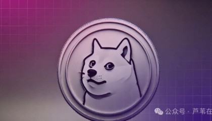 SEC正式接受，Grayscale 提交的 XRP、Doge 上市申请！