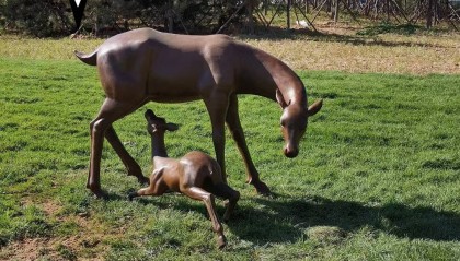 农场动物铜雕哪里可以买到