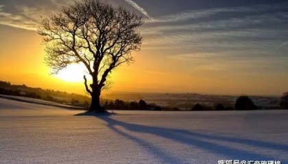 讨论：外汇EA代理商的商业发展模式设计