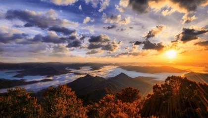 AIMS荣鹰证券：外汇市场的深入教育与支持