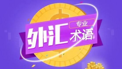 外汇是什么意思，有哪些常见外汇术语？
