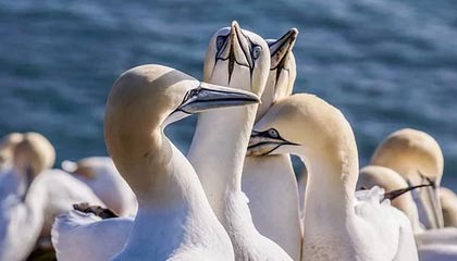 哈尔滨清逸坊日化有限公司成立 注册资本10万人民币