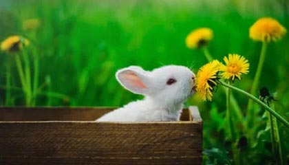 哈尔滨清逸坊日化有限公司成立 注册资本10万人民币