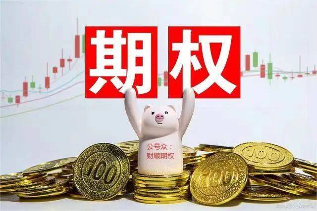 股票行情和期权行情有什么关系？