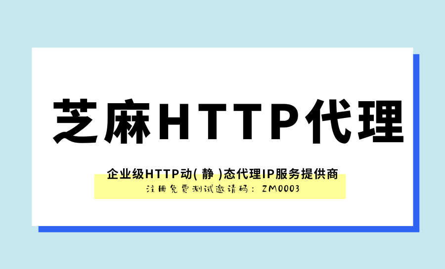 揭秘国内IP代理的安全性：如何保护个人信息安全？