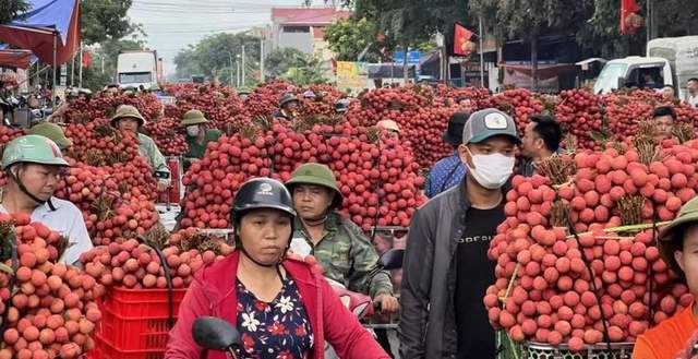 美元潮汐下，越南外汇储备见底，巨额债务压顶，面临国家破产窘境