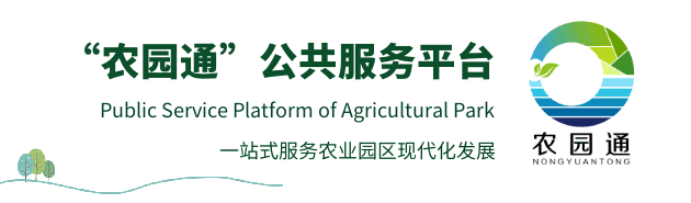 找品种 | 粉果番茄新品种“宝禄富生”