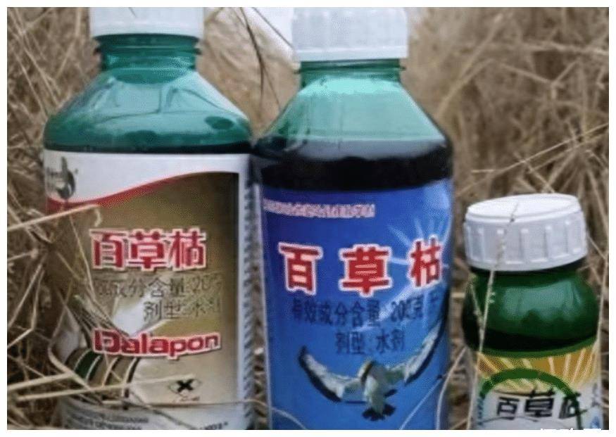 “百草枯之父”李德军：百草枯售卖了多少年，我就愧疚了多少年