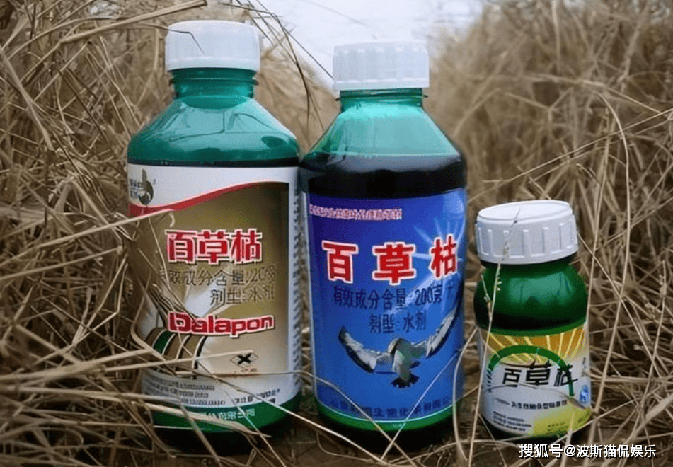 “中国百草枯之父”李德军：百草枯卖了多少年，我就愧疚了多少年