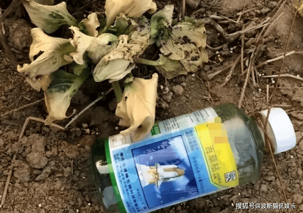 “中国百草枯之父”李德军：百草枯卖了多少年，我就愧疚了多少年