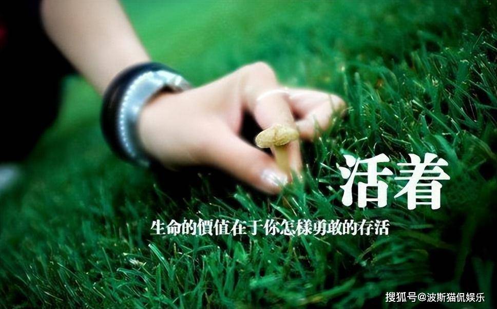 “中国百草枯之父”李德军：百草枯卖了多少年，我就愧疚了多少年