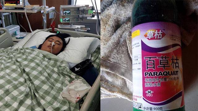 “百草枯之父”李德军：百草枯卖了多少年，我就愧疚了多少年！