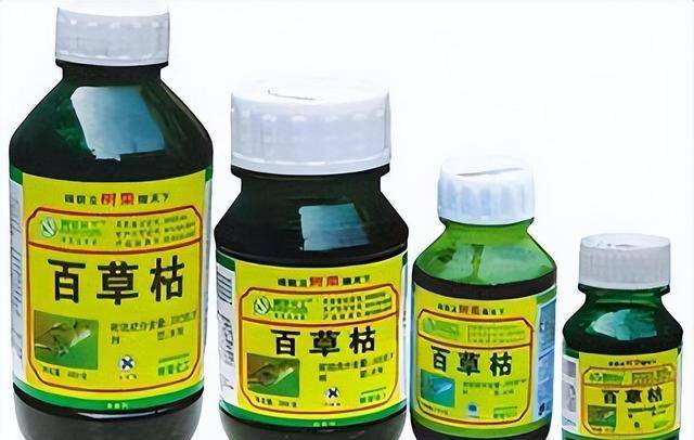 “百草枯之父”李德军：百草枯卖了多少年，我就愧疚了多少年！