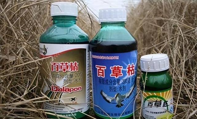 “百草枯之父”李德军：百草枯卖了多少年，我就愧疚了多少年！