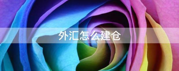 外汇怎么建仓