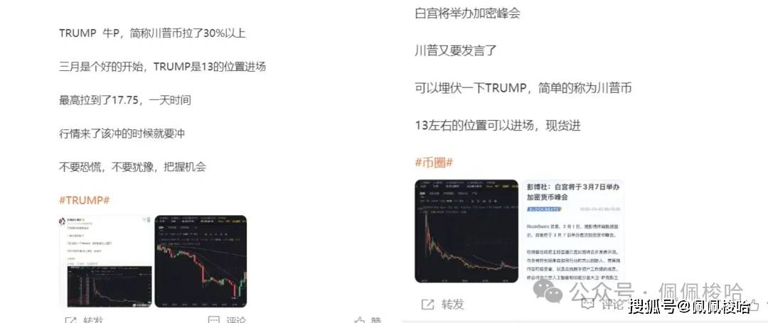 杀猪盘！比特币闪崩暴跌1万刀！BTC要跌出新低！如何抄底？高点逃顶！TRUMP赢麻了！ODINDOG、ODINCAT持续吃肉！