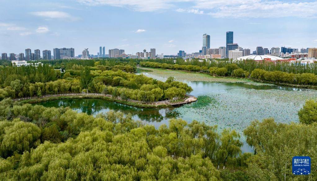 宁夏银川:城在湖中城愈美 湖在城中湖更秀