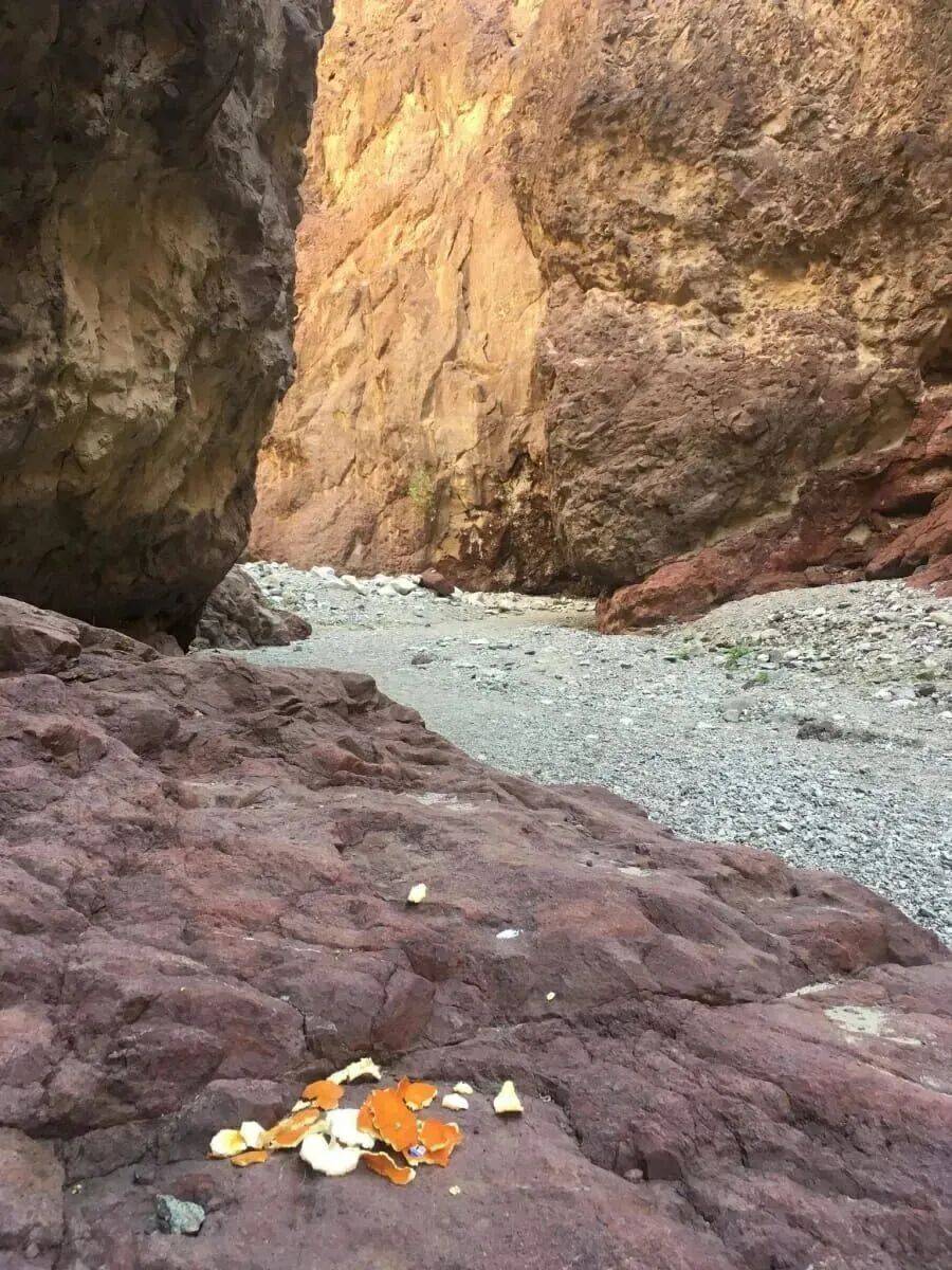 特别关注 | 在青藏高原放烟花，到底错在了哪儿？