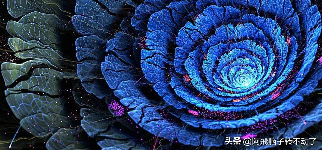 逐梦影视圈:新手从零基础到入行,快速入门的修炼秘籍