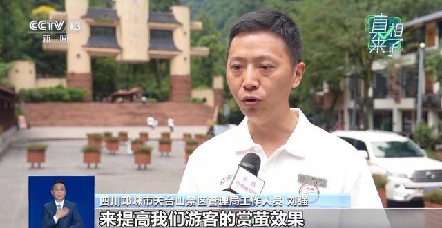 网传萤火虫濒临灭绝是真的吗?